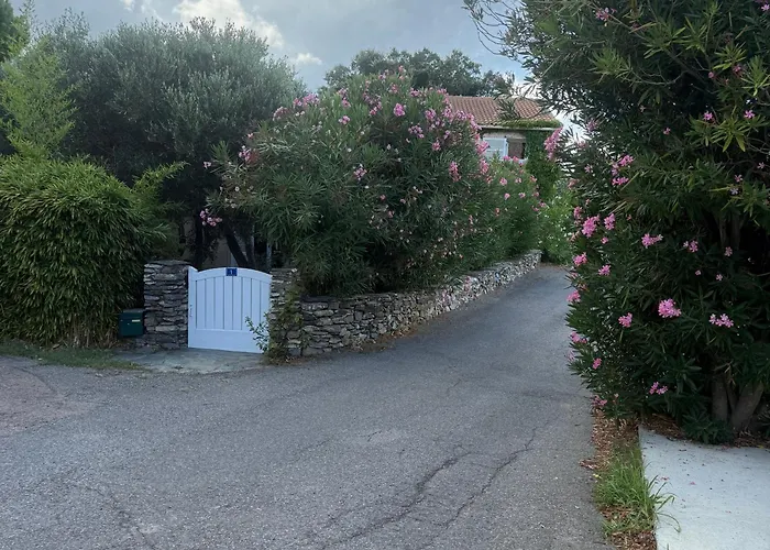 Carpediem Corsica Adult Only